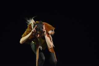 animal dances / martin nachbar / noha ramadan